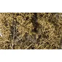 Branches/Feuilles fines - Foliage mort - WOODLAND SCENICS F1134 - 1220 cm³