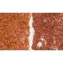 Flocage fin d'automne - Woodland Scenics F56 - 464 cm²