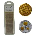 Touffes d'herbe de prairies 6 mm - WWScenics W3T-WM6 - HO 1/87