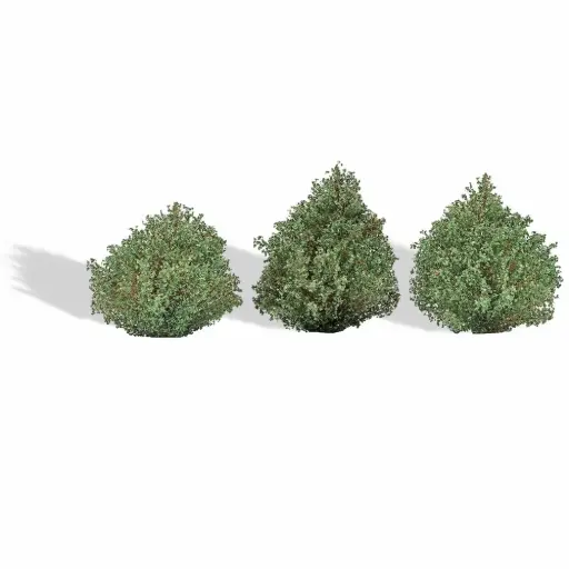 [BU3607] 3 buissons, été - Busch 3607 - HO 1/87