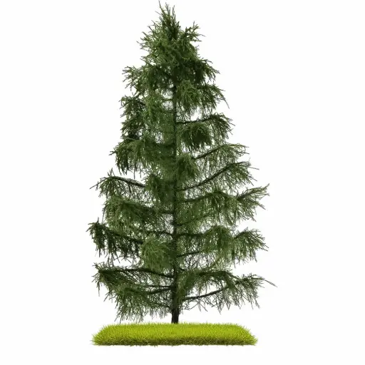 [BU3807] Épicéa, 210 mm - Busch 3807 - HO/TT