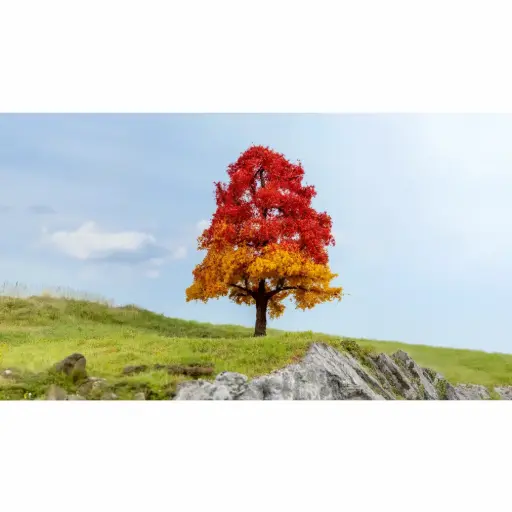 [NO20114] Chêne, automnal - Noch 20114 - 20 cm