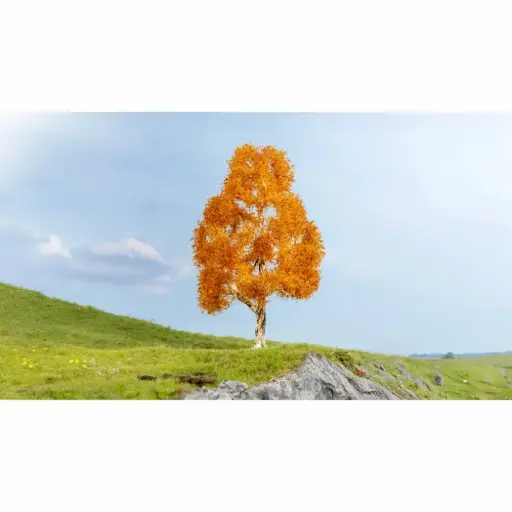 [NO20129] Bouleau, automnal - Noch 20129 - 21 cm