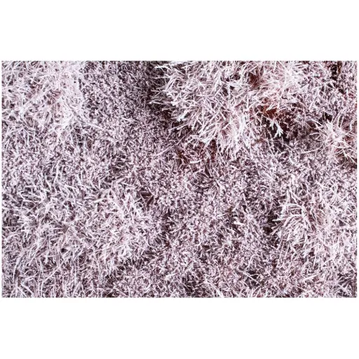 [AU70903] Arbustes enneigés - Auhagen 70903