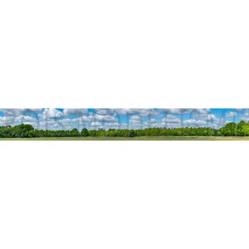 [BM901010] Fond de décor : Forêt sous un ciel bleu - Bois modélisme 901010