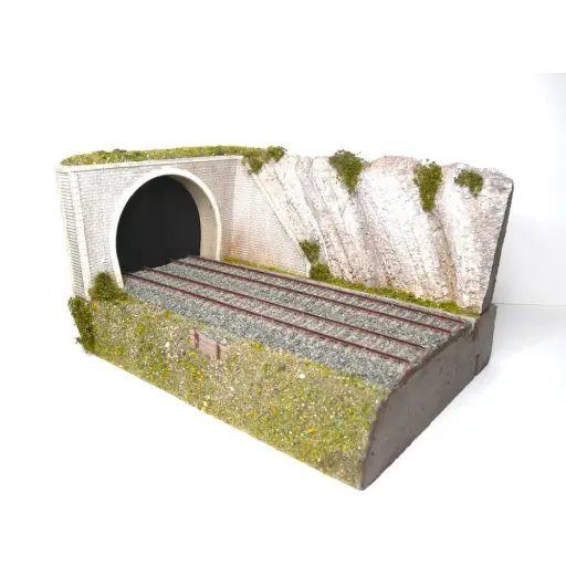 [BM109009] Entrée de tunnel 2 voies & mur de soutènement gauche BoisModélisme 109009 - HO