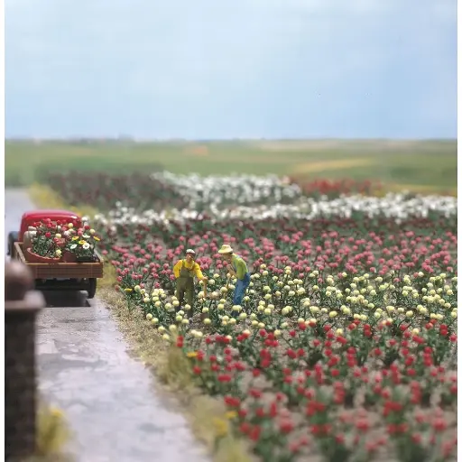 [BU1205] Roses de cinq couleurs - Busch 1205