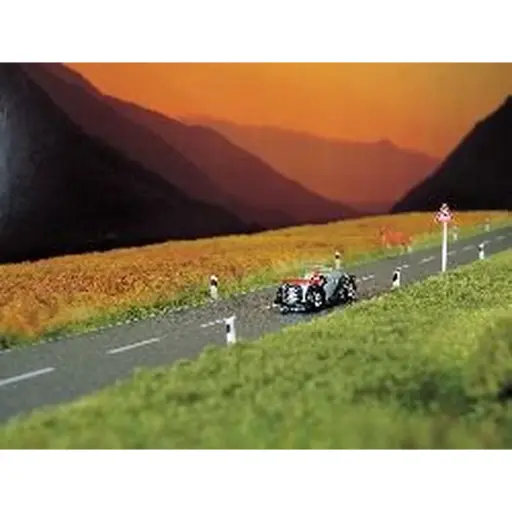 [BU6033] Route Asphalte 1000x66mm - BUSCH 6033 - HO/TT