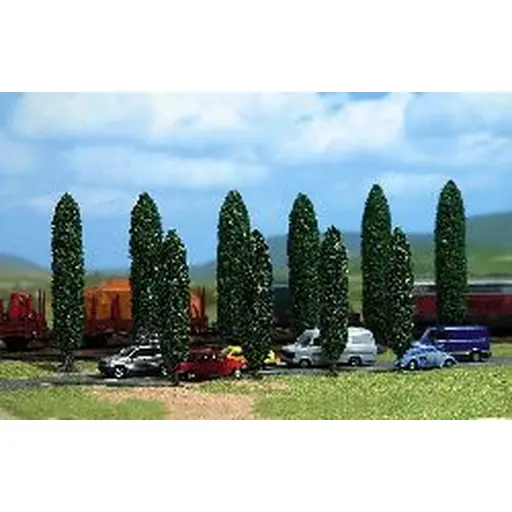 [BU6239] 10 peupliers