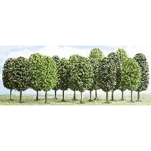 [BU6486] 12 arbres à feuilles caduques, 7-12.5 cm