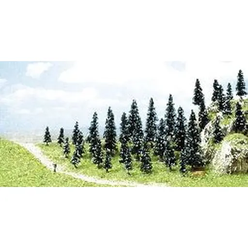 [BU6492] 35 sapins avec racines, 5-11 cm