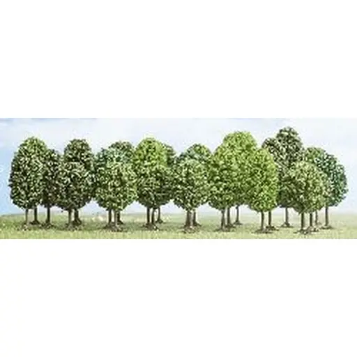 [BU6587] 25 arbres à feuilles caduques, 5.5 cm