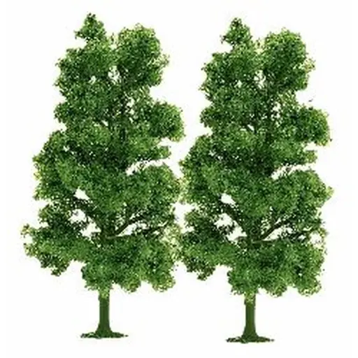 [BU6729] 2 hêtres, 7 cm