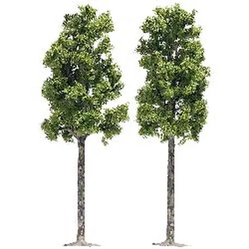 [BU6791] 2 platanes 16.5 cm