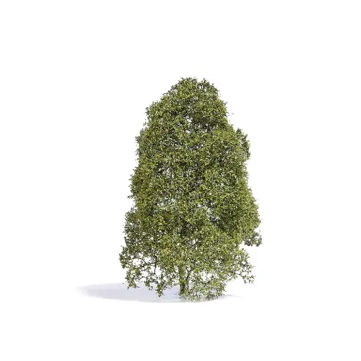 [BU3586] Arbre de saison estivale muni de feuilles vertes claires Busch 3586 - HO 1/87 - O 1/43