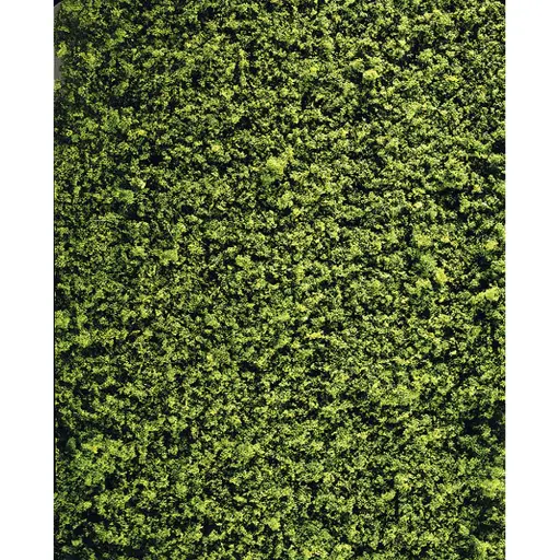 Nappe de feuillaison vert moyen
