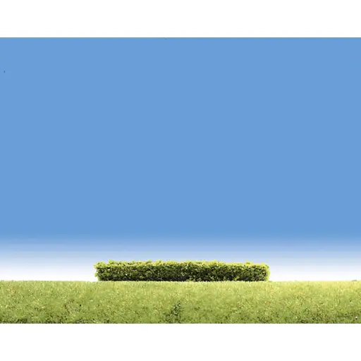 [FA181398] 3 haies vert clair