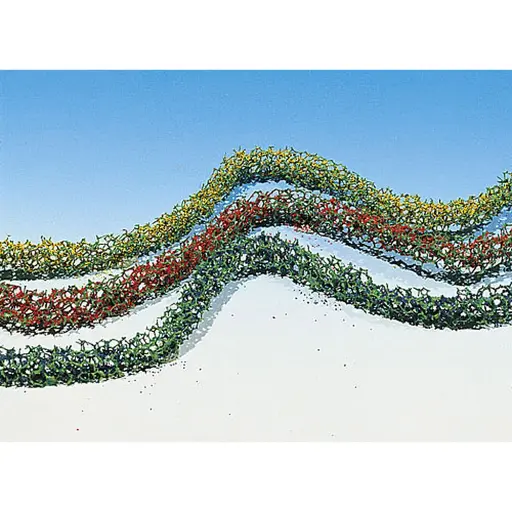 [FA181443] 3 buissons