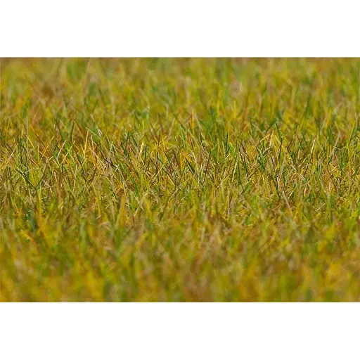 [FA180484] Fibres de flocage PREMIUM, Prairie, longue, vert clair, 30 g