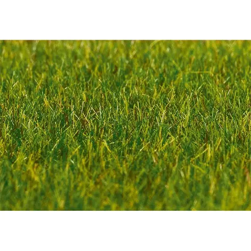 [FA180485] Fibres de flocage PREMIUM, Herbe, longue, vert foncé, 30 g
