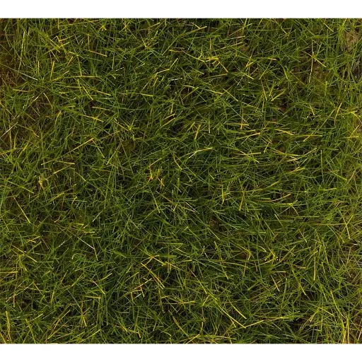 [FA170774] Fibres de flocage PREMIUM, Prairie d'été, 30 g