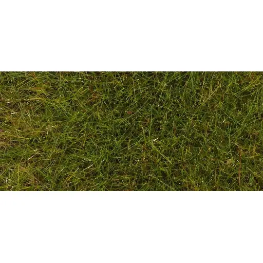 [FA170771] Fibres de flocage PREMIUM, Prairie de printemps, 30 g - FALLER 170771 - HO 1/87