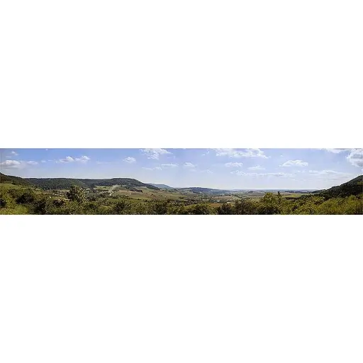 [FA180800] Fond de décor Forêt Noire pour le Modélisme Ferroviaire - Faller 180800