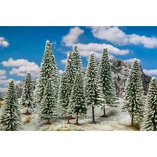 Lot de 18 sapins d'hiver de 100 à 140 mm