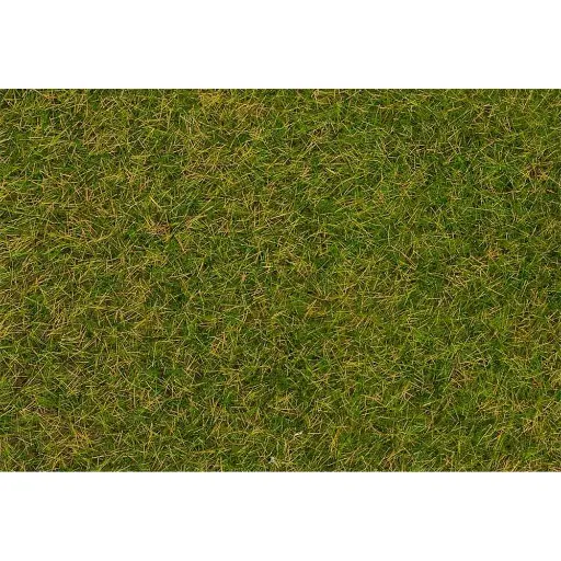 [FA170206] Fibres de flocage herbes sauvages, prairie début d'été, 4 mm, 30g FALLER 170206