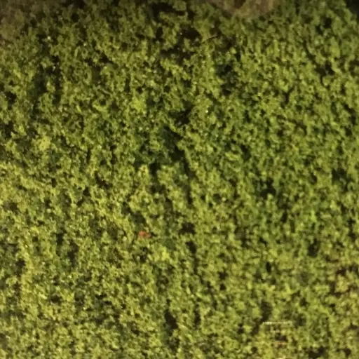 [HE1600] Flocage - Vert clair - HEKI 1600 - Échelle Universelle - 280x140 mm