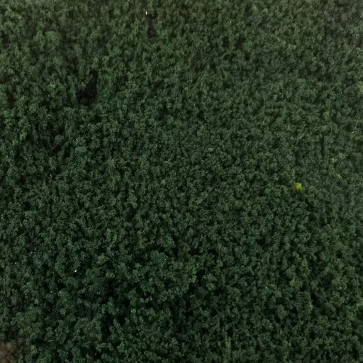 [HE1613] Flocage - Vert Pin - HEKI 1613 - Échelle Universelle - 200 mL