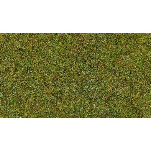 [HE3360] Flocage - Fibres d'herbes terrain d'été - HEKI 3360 - Échelle Universelle - 100 g