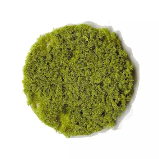 [HE3388] Flocage - Flocons de feuillage - Vert clair - HEKI 3388 - Échelle Universelle
