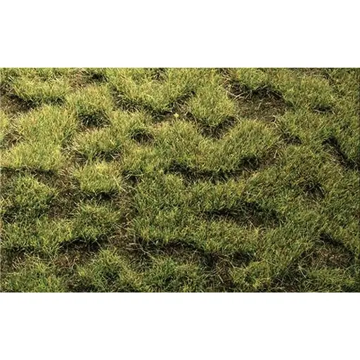 [HE1843] Flocage - Herbes sauvages - Sol marécageux - Vert foncé - HEKI 1843 - Échelle HO / TT - 450x170 mm