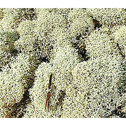 [HE3212] Sachet de Mousse - Gris - 30 Grammes - HEKI 3212 - Toutes Echelles