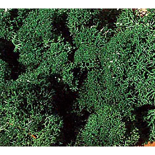 [HE3220] Sachet de Mousse - Vert Foncé - 75gr - Heki 3220 - Toutes Echelles