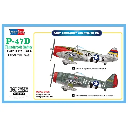 [HO85804] Chasseur Thunderbolt P-47D - Hobby Boss 85804 - 1/48