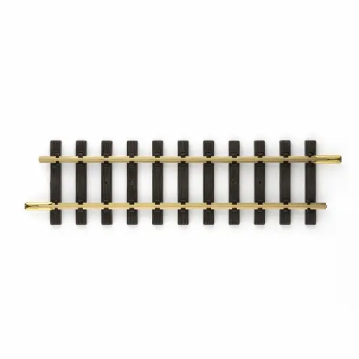 [LG10000] Rail droit 300 mm code 332 - LGB 10000 - G 1/22,5 - 2R