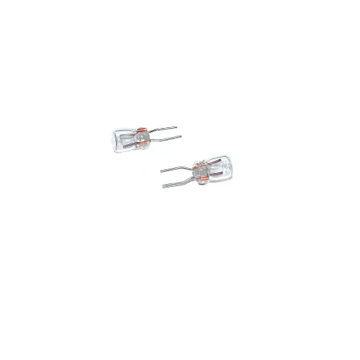 [LGE130023] 10 ampoules transparentes 5 Volts 3 mA - LGB E130023 - G 1/22.5