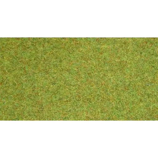 [NO00012] Tapis vert clair 200 X 100 cm - Noch 00012