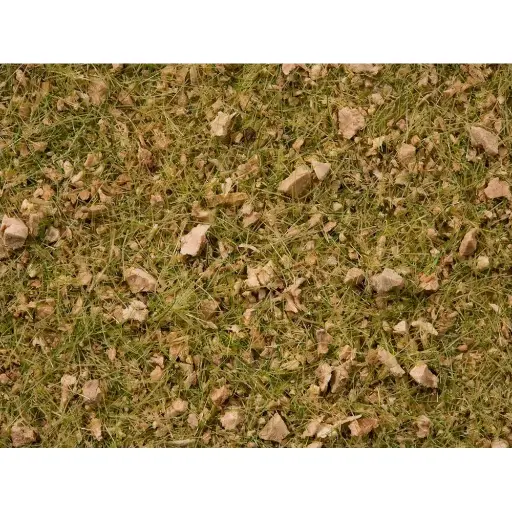 [NO07075] Mélange d'herbes "prairie Alpine" - Noch 07075 - Multi échelles - 2,5 à 6 mm - 50 g