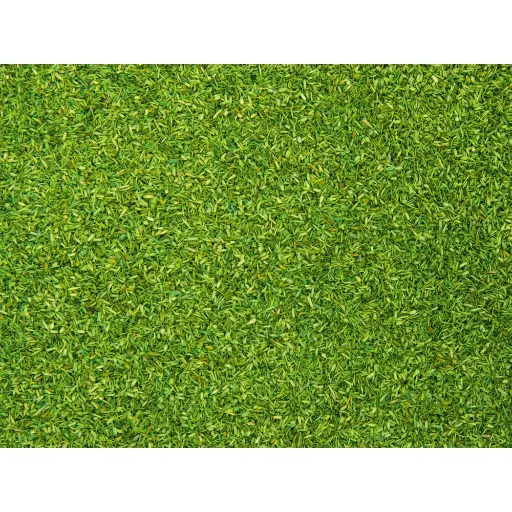 [NO08410] Flocage vert clair - Noch 08410 - Toutes échelles - 42 g