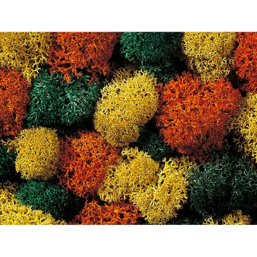 [NO08630] Mousse lichen couleurs d'automne - Noch 08630 - Toutes échelles - 35 g