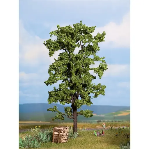 [NO21780] Tilleul - Noch 21780 - N - TT - HO - O - 18,5 cm