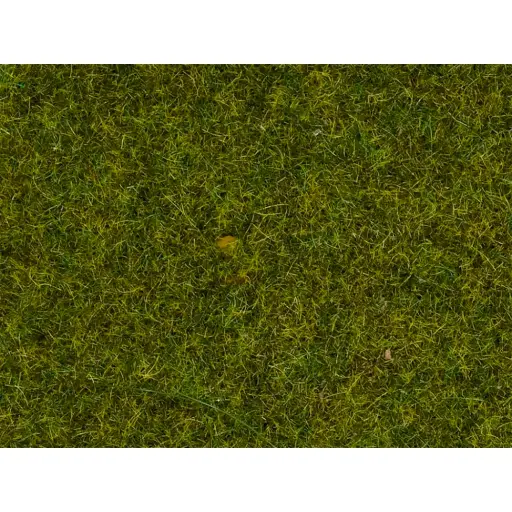 [NO08312] Fibres herbes de pré - Noch 08312 - Toutes échelles - 2,5 mm - 20 g