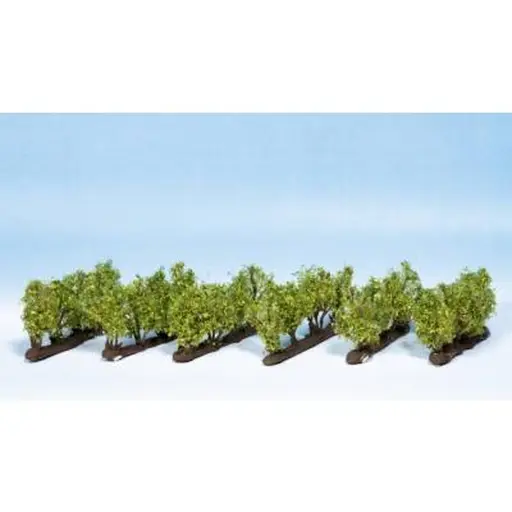 [NO21545] Set de 24 ceps de vignes