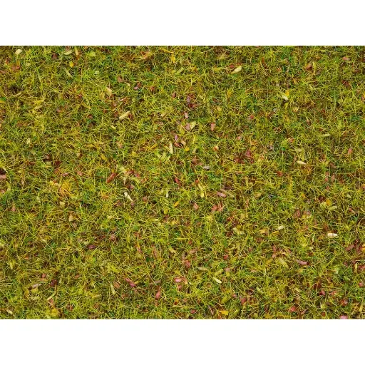 [NO08155] Fibres herbes "pré fleurie" - Noch 08155 - Toutes échelles - 2,5 mm - 120 g