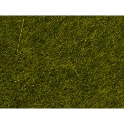[NO07100] Herbes Sauvages - Noch 07100 - Toutes Echelles