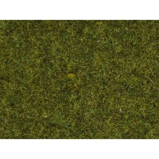 [NO08361] Fibres herbes "prairie" - Noch 08361 - Toutes échelles - 4 mm - 20 g
