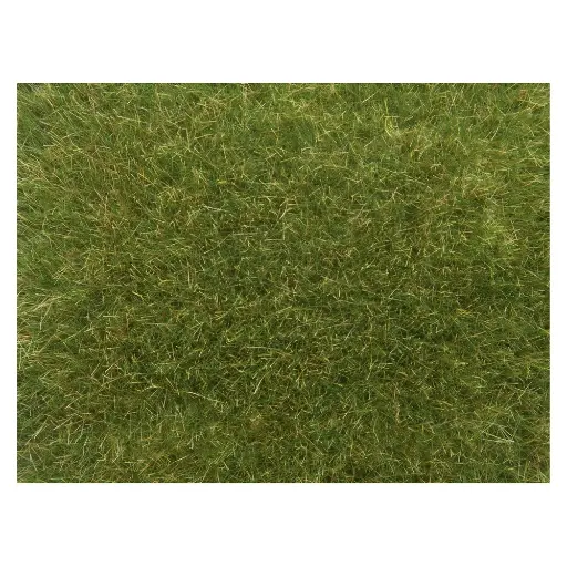 [NO07117] Sachet sauvage "Prairie" 50g 9mm NOCH 07117 - Toutes échelles